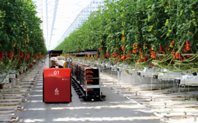 合肥市包河區(qū)首個數(shù)字化種植工廠即將上線 實現(xiàn)流水線、立體式種植